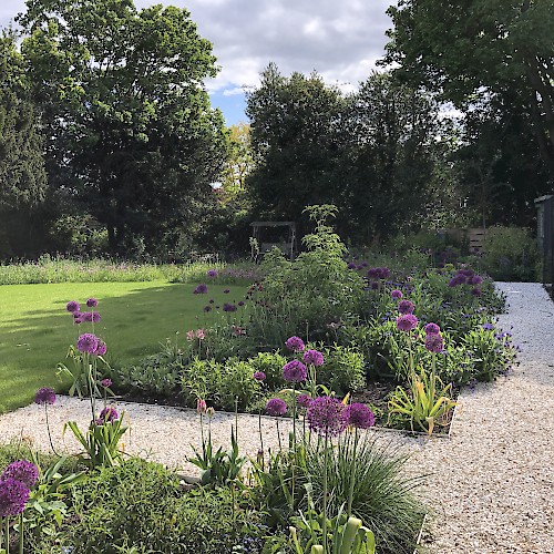 Surrey garden with wildflower meadow - Caroline Boor, Garden Design